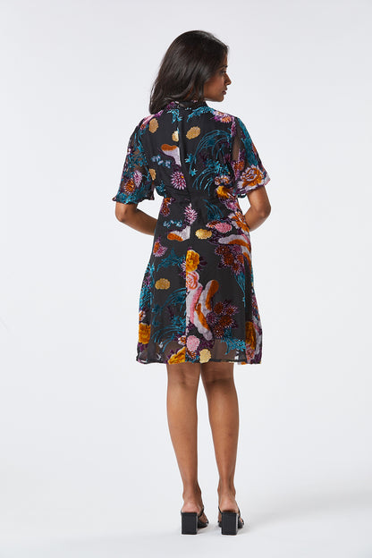 Zibi London - Fily Short Velour Dress - 1021208