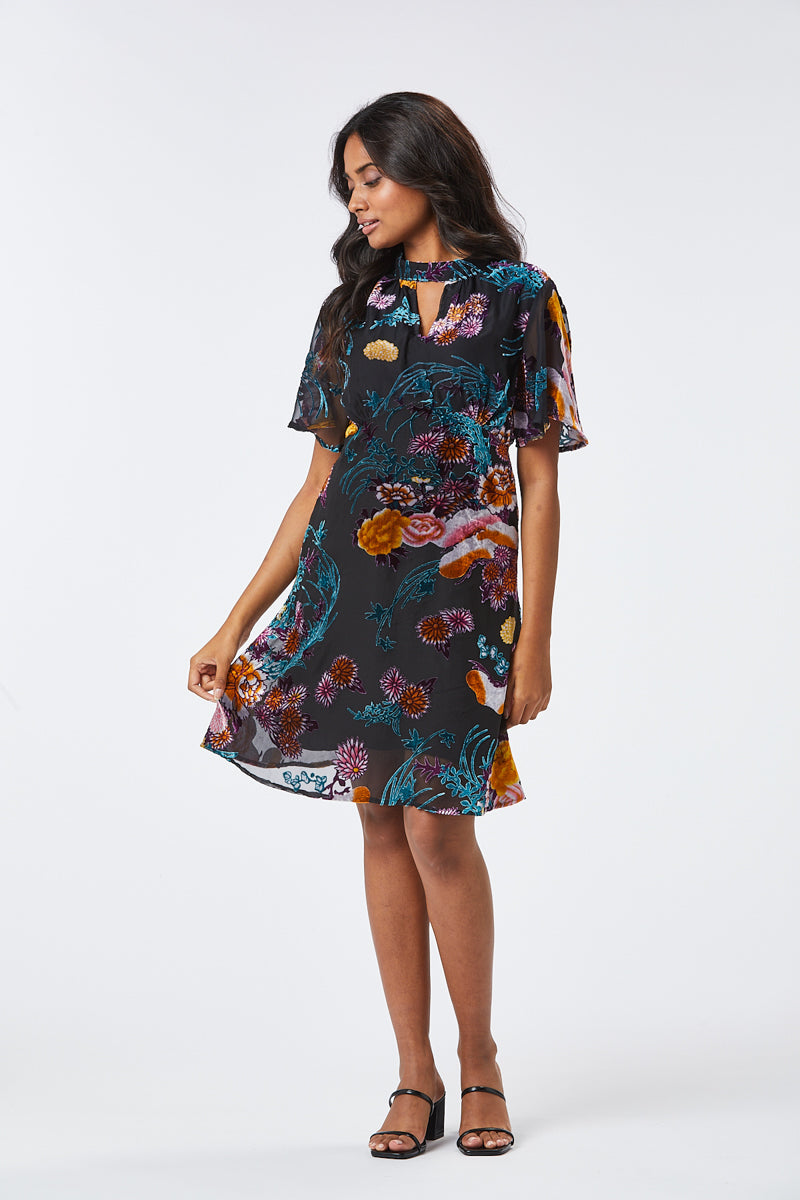 Zibi London - Fily Short Velour Dress - 1021208
