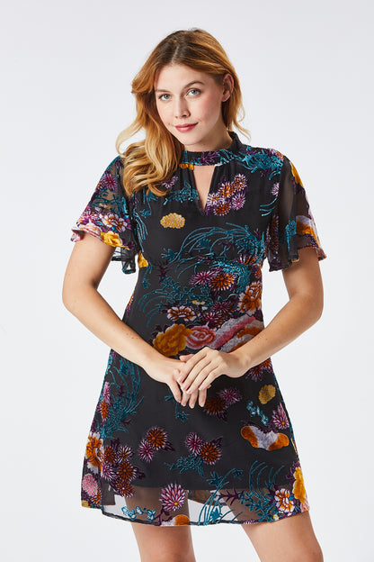 Zibi London - Fily Short Velour Dress - 1021208