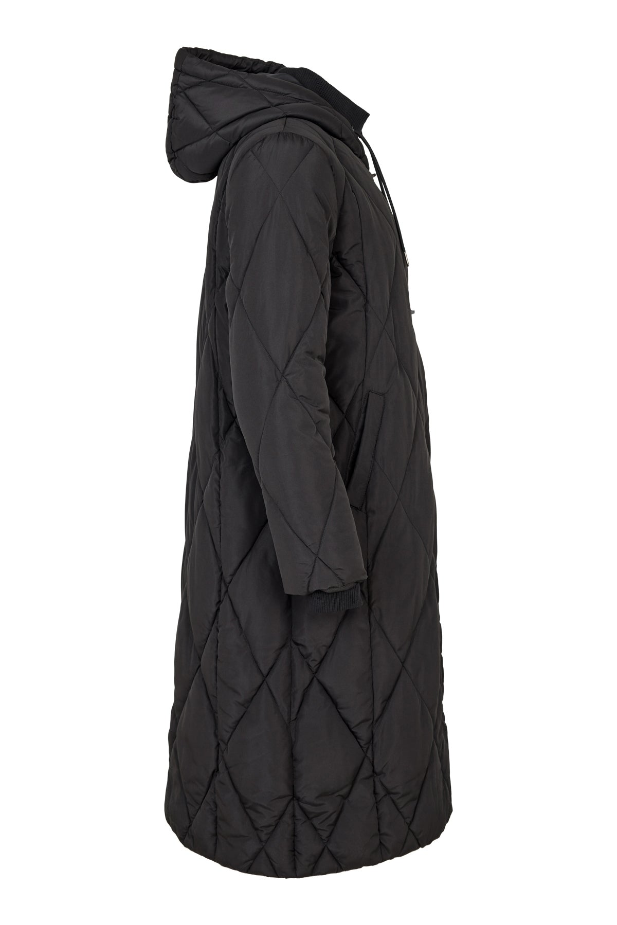 Normann - Coat - Norm 42726